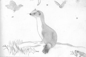 p24-