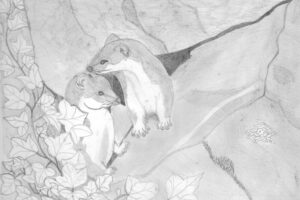 p46-